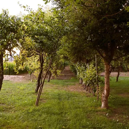 Domaine Des 4roses -spa Et Sérénité