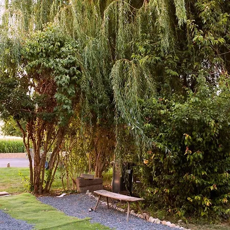 Villa Domaine Des 4roses -spa Et Serenite *