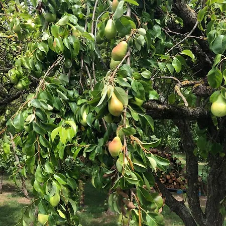 فيلة Domaine Des 4roses -spa Et Serenite