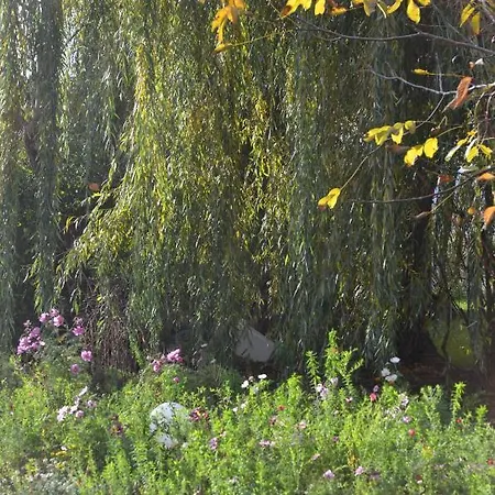 Domaine Des 4roses -spa Et Serenite Villa Furdenheim