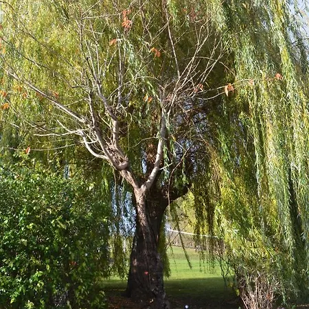 Domaine Des 4roses -spa Et Sérénité * Furdenheim